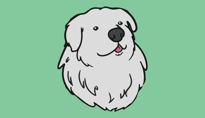 Blog-post Thumbnail