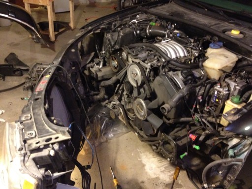 Bilford_Inside_front timing belt yo