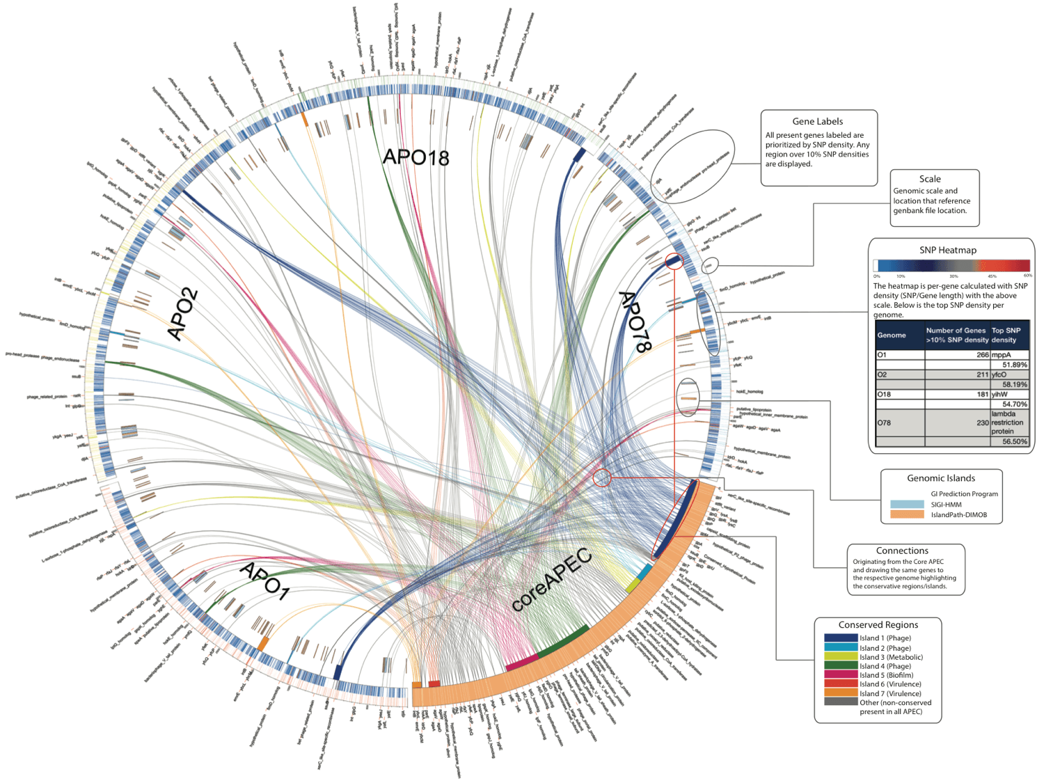 GeneLinea Output Breakdown showing various genomic analysis results