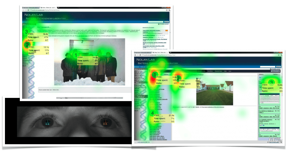 Eye tracking heatmap visualization